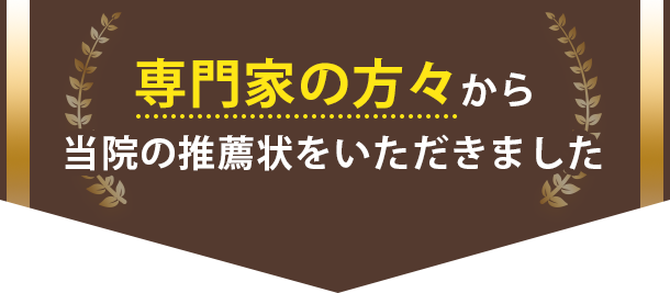 専門家の方々から、当院の推薦状をいただきました