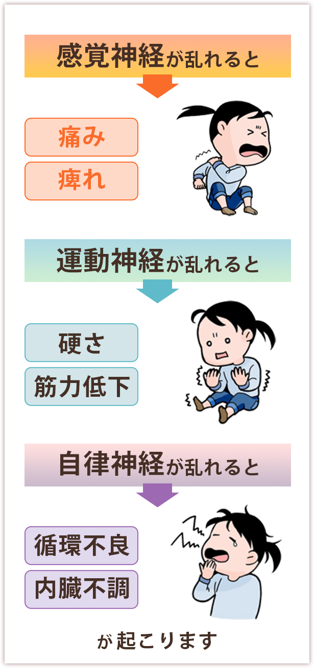 感覚神経が乱れると、「痛み」「痺れ」。運動神経が乱れると、「硬さ」「筋力低下」。自律神経が乱れると「循環不良」「内臓不調」が起こります